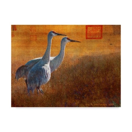 Chris Vest 'Walking Cranes' Canvas Art,18x24